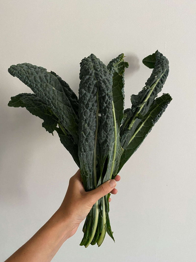 Cavolo Nero